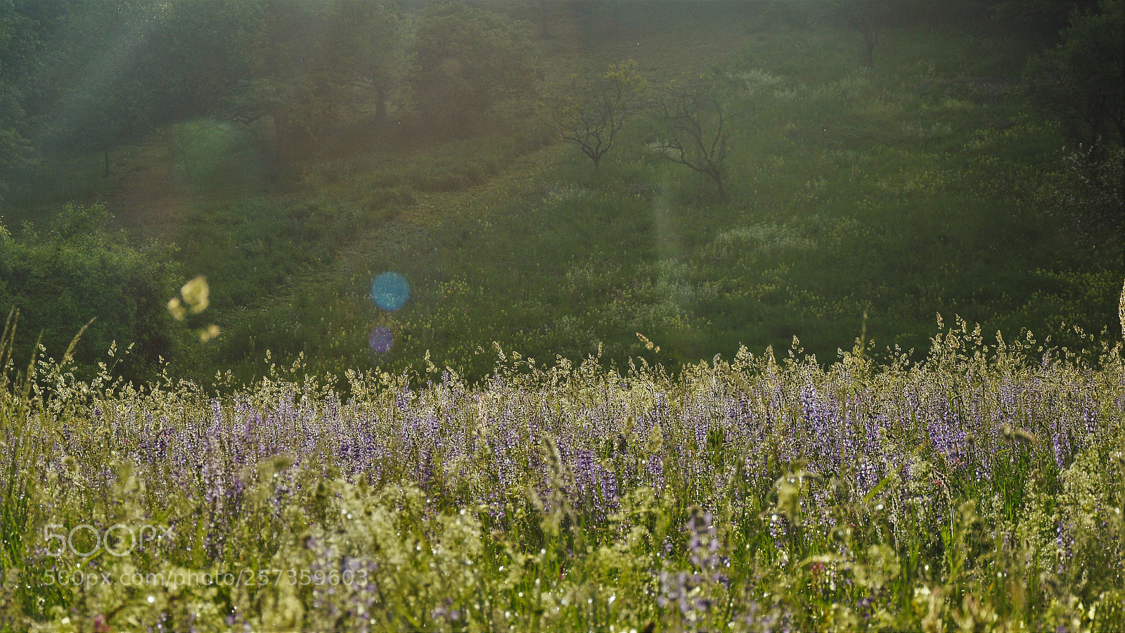Nikon D3200 sample photo. Untitled photography