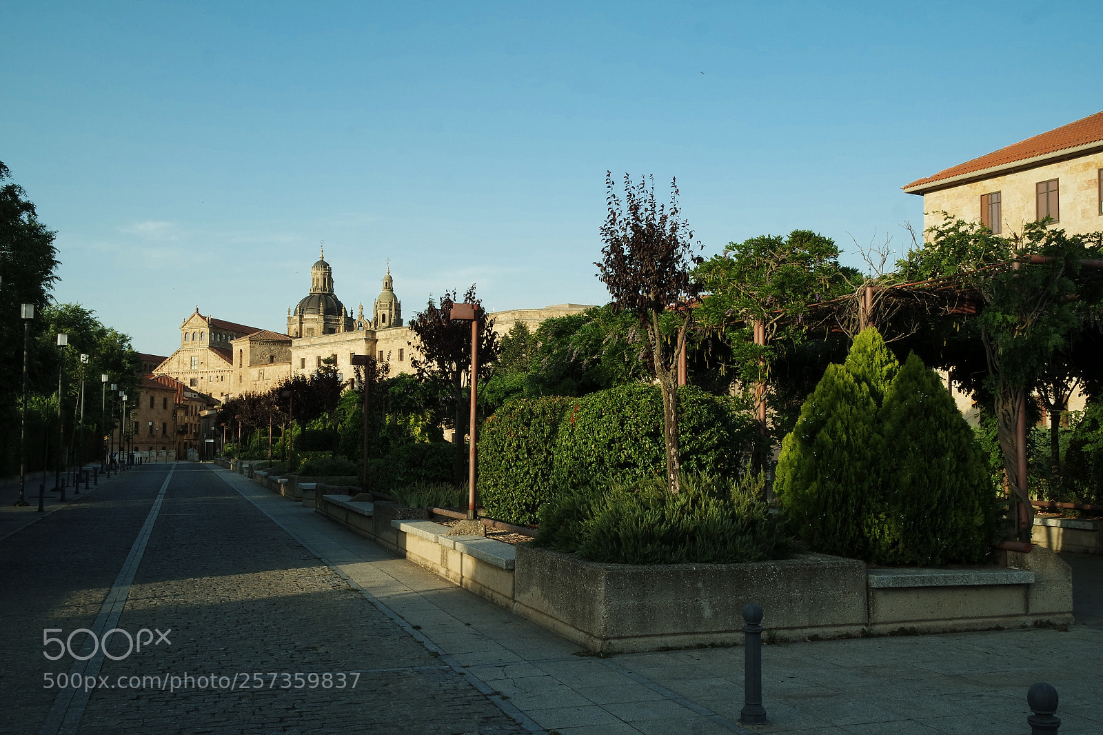Samsung NX3000 sample photo. Untitled photography