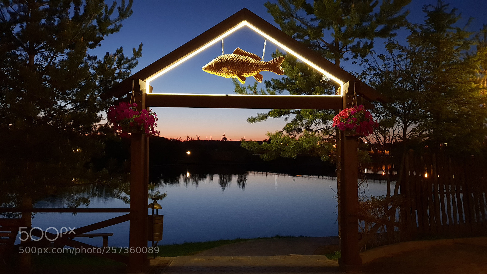 Samsung Galaxy S9+ sample photo. Untitled photography