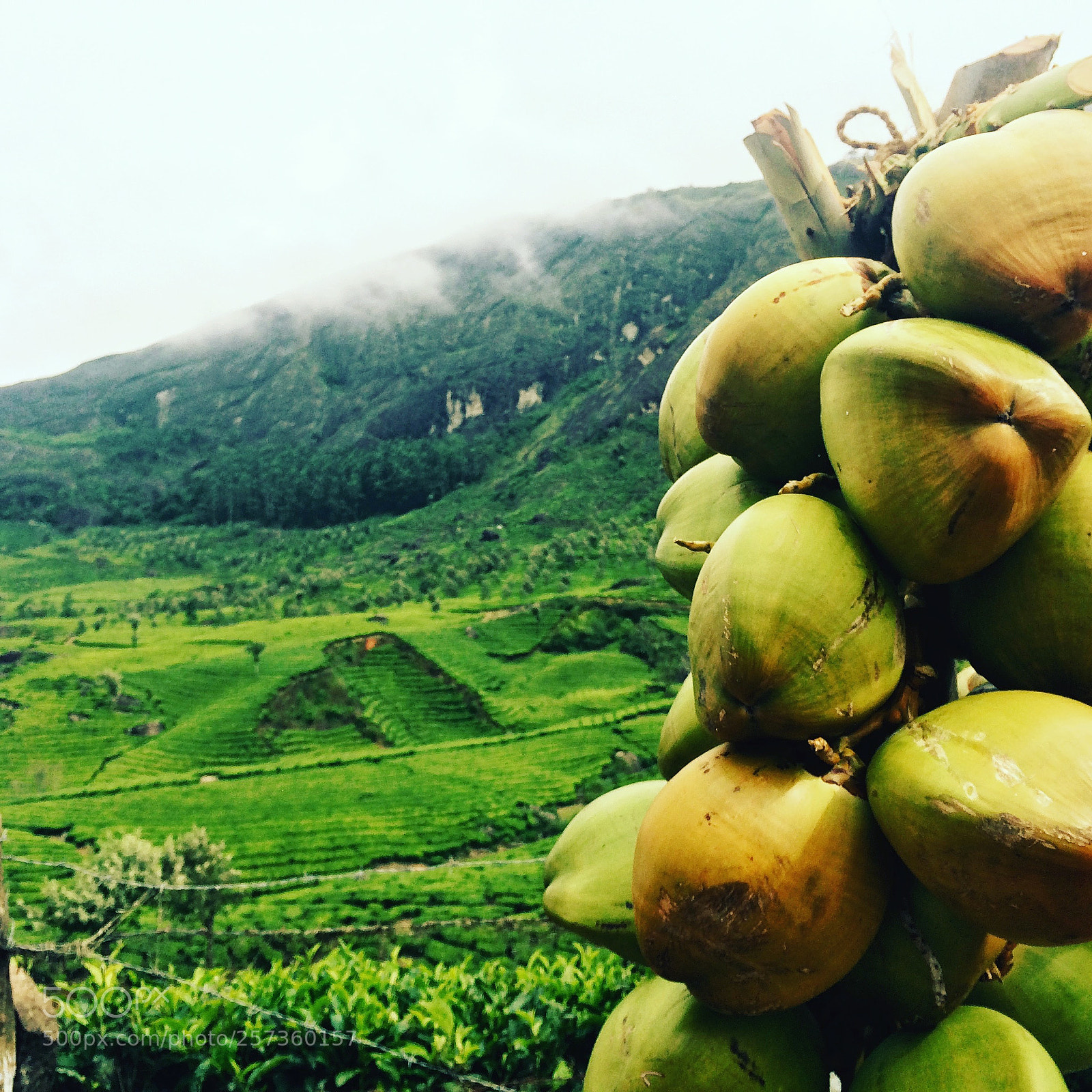 Apple iPhone 5s sample photo. God's own country photography
