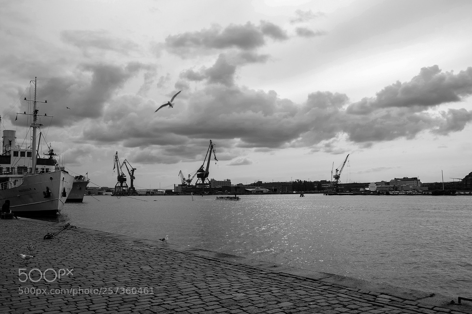 Samsung NX3000 sample photo. Untitled photography