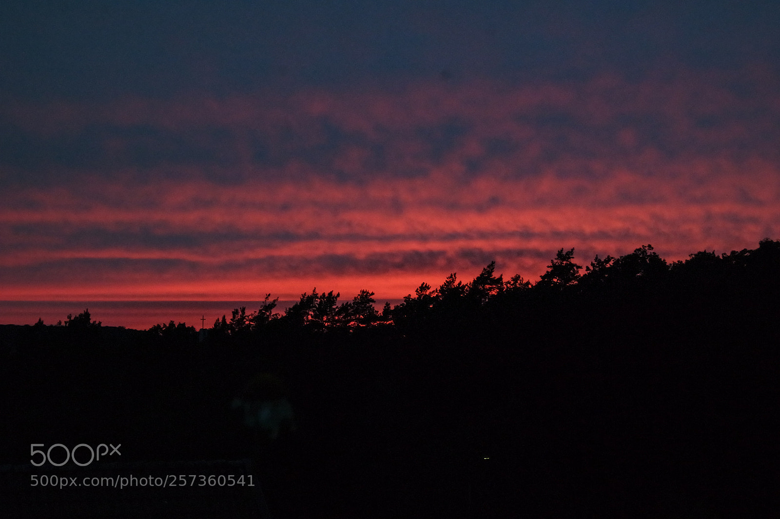 Samsung NX3000 sample photo. Untitled photography