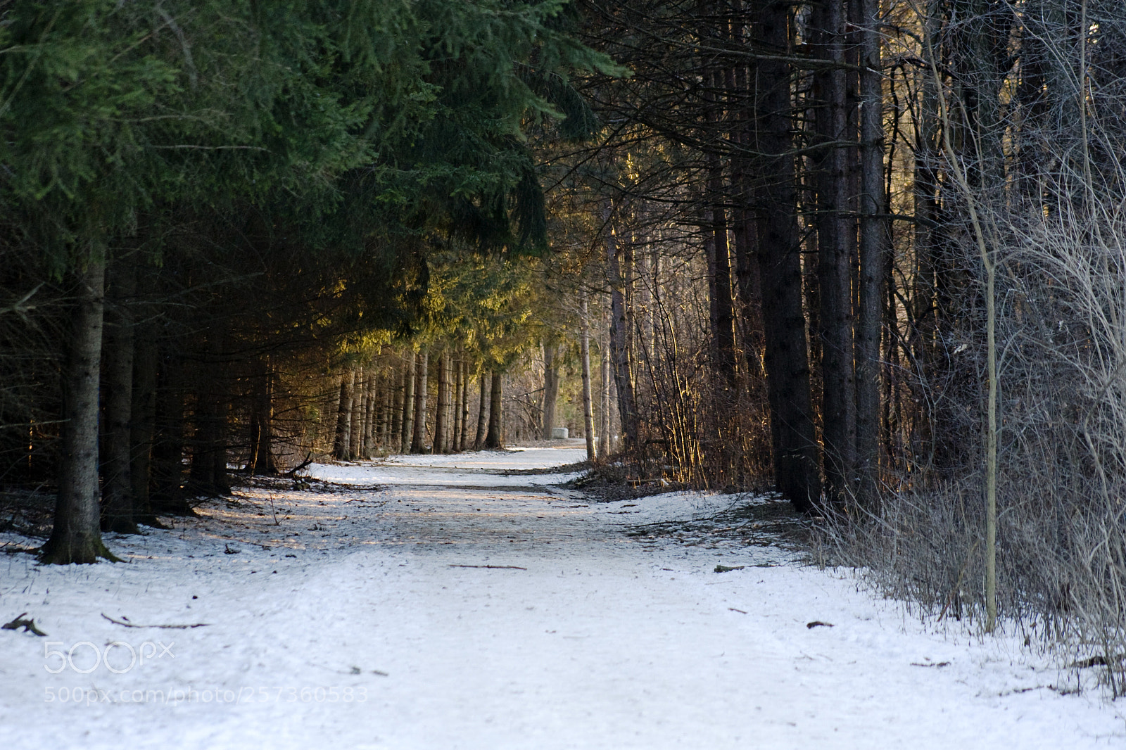 Canon EOS 30D sample photo. The path photography