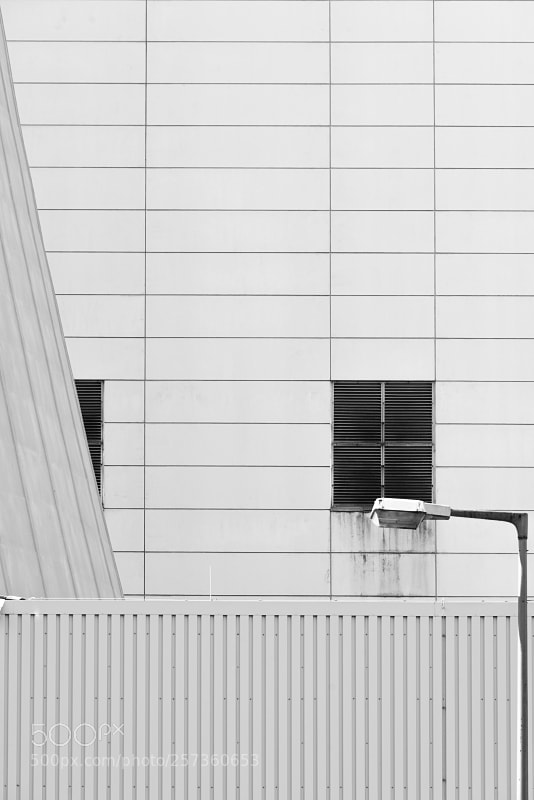 Nikon D800 sample photo. Lines in the city photography
