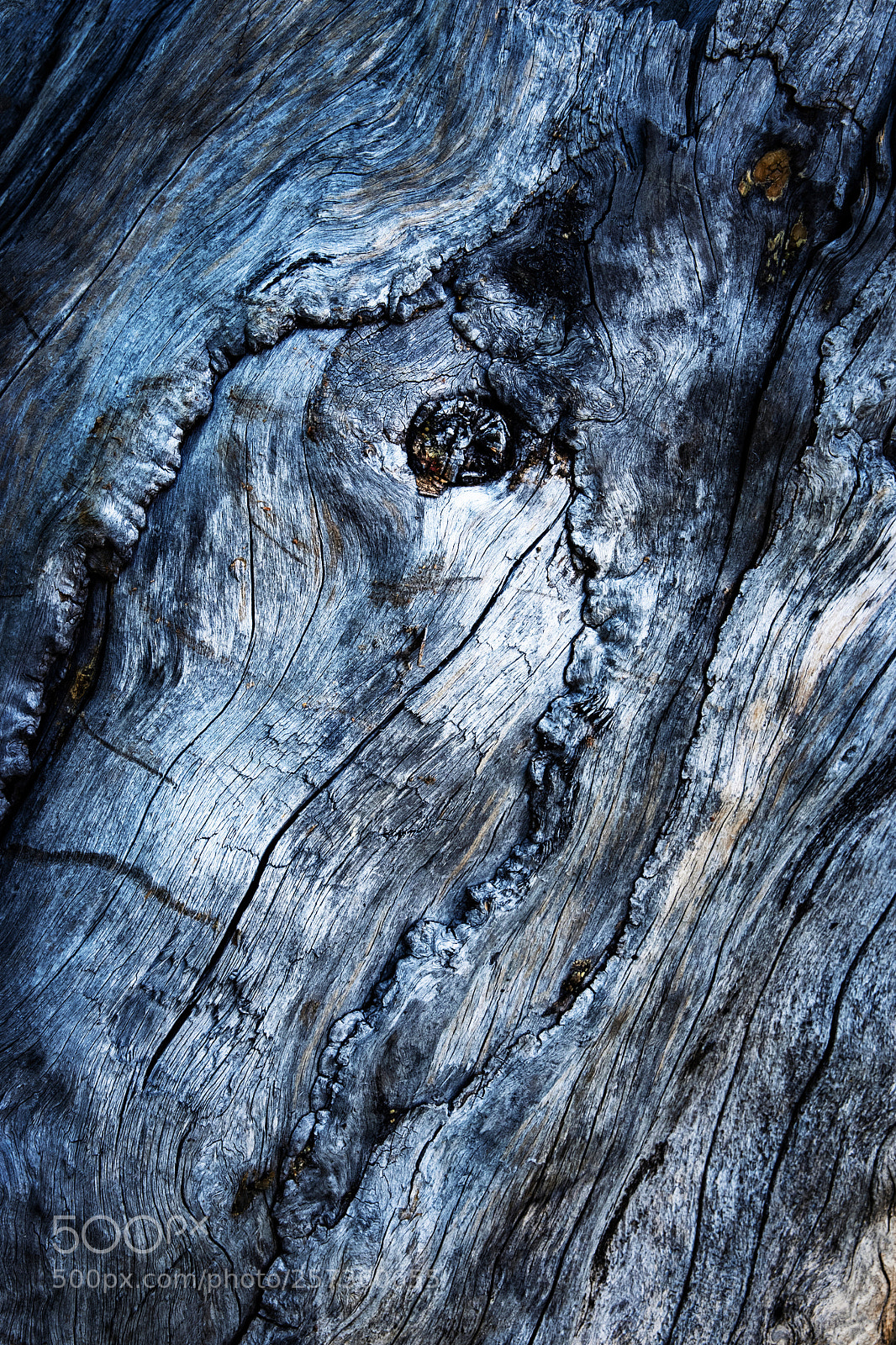 Nikon D5500 sample photo. Abstract shape on old photography