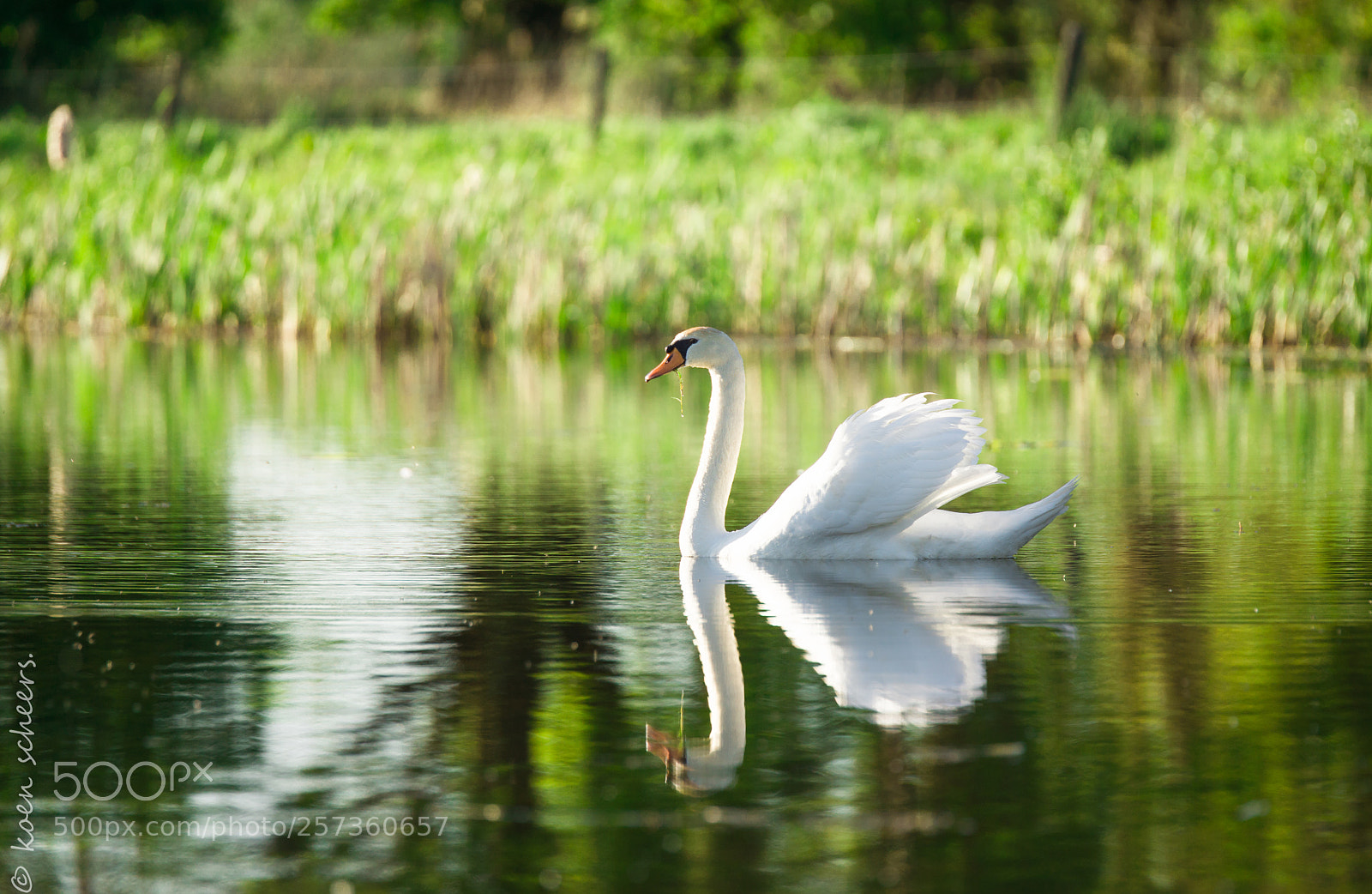 Sony SLT-A77 sample photo. Beautiful nature photography