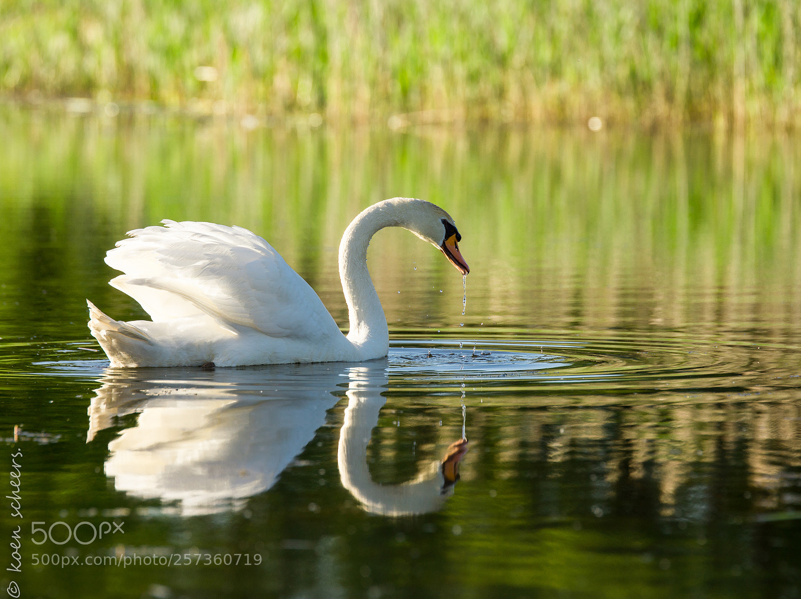 Sony SLT-A77 sample photo. Beautiful nature photography