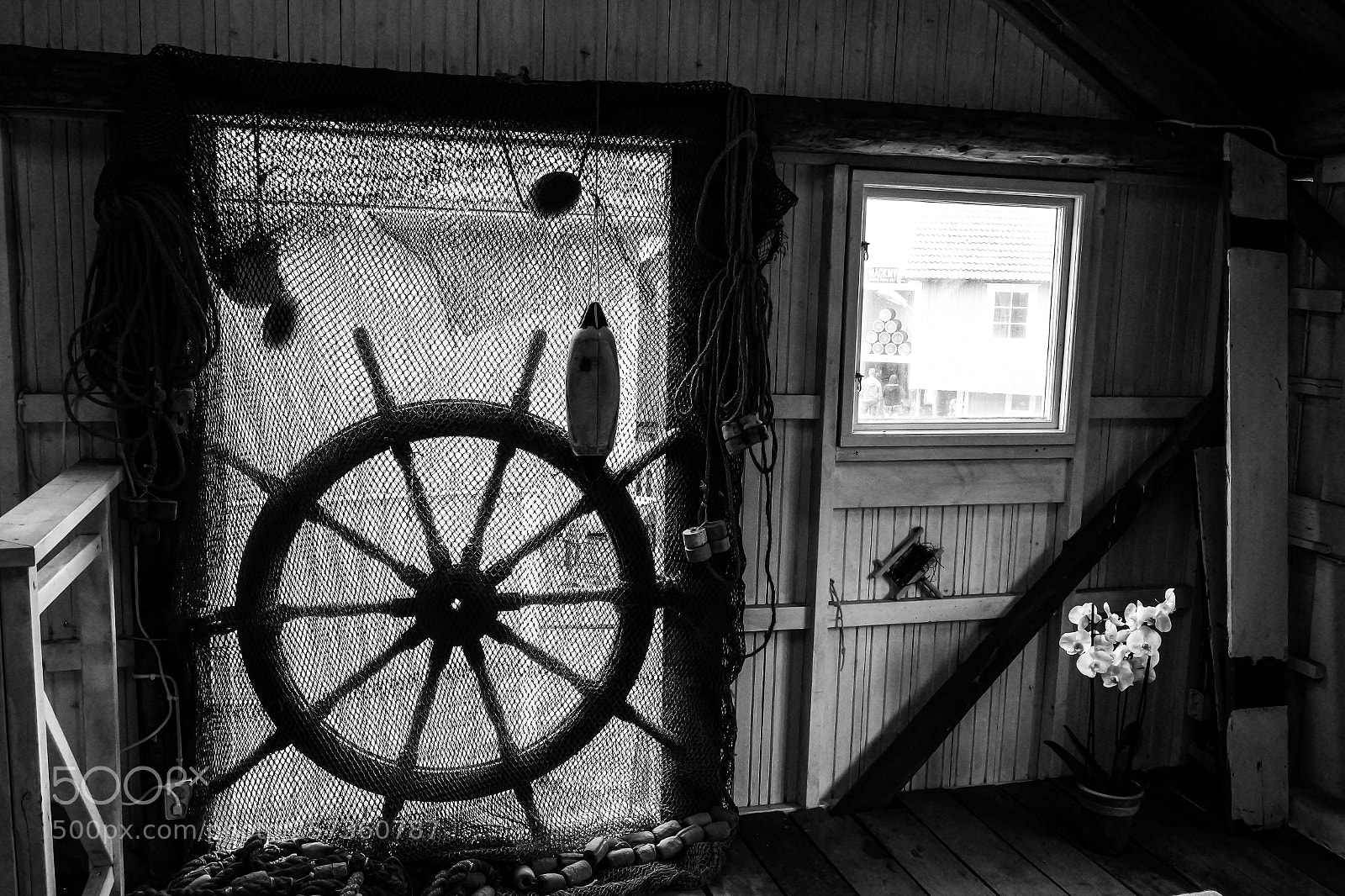 Samsung NX3000 sample photo. Untitled photography