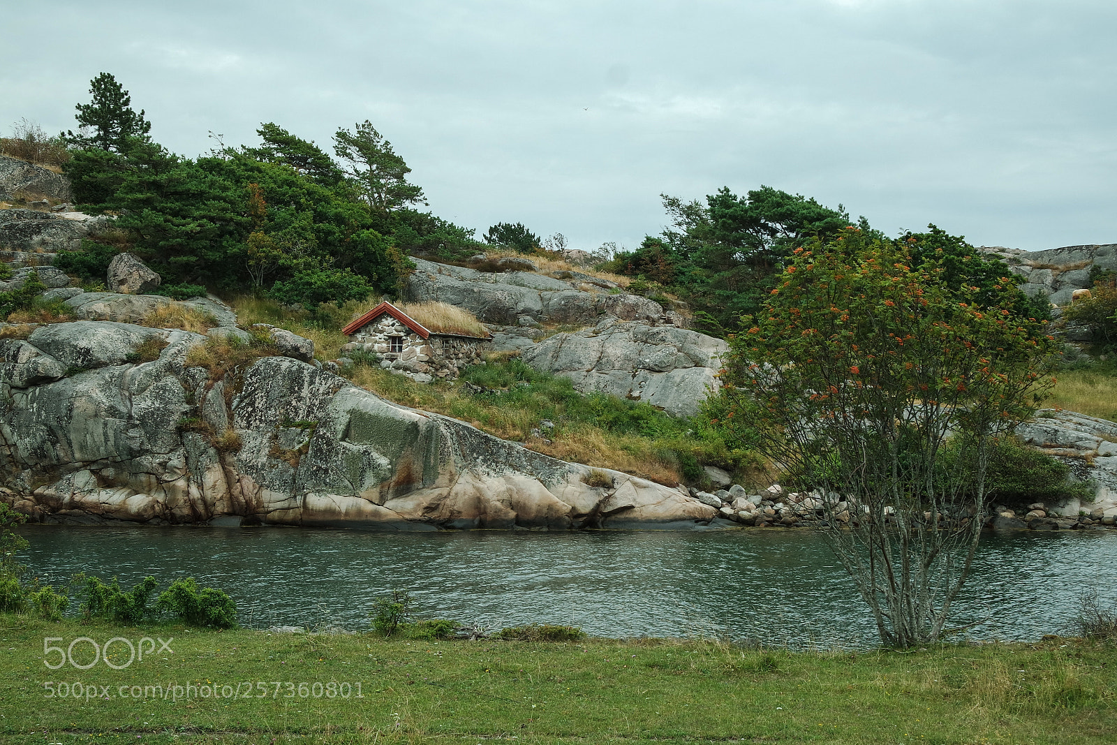 Samsung NX3000 sample photo. Untitled photography