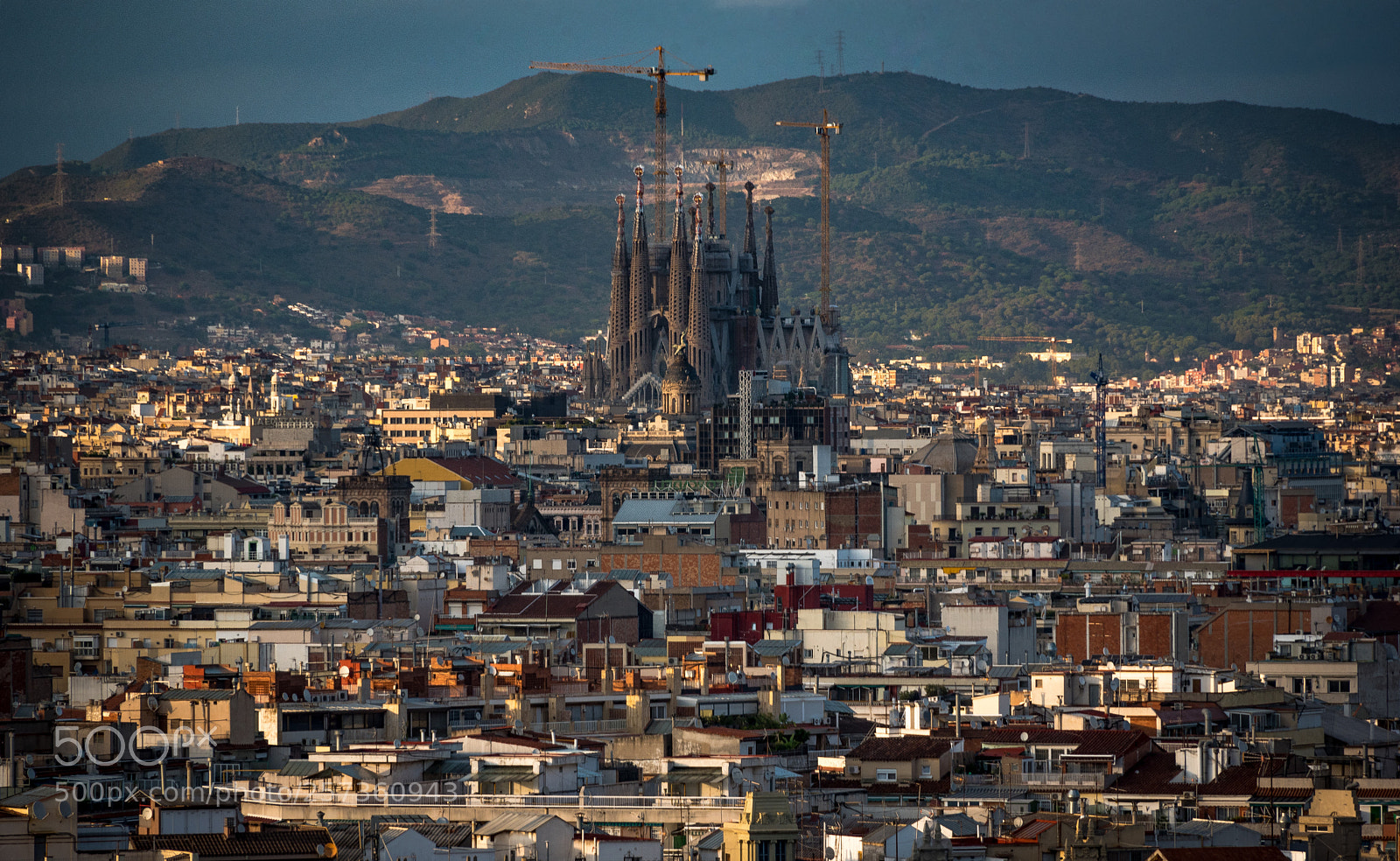 Nikon D750 sample photo. Cathedral skyline photography
