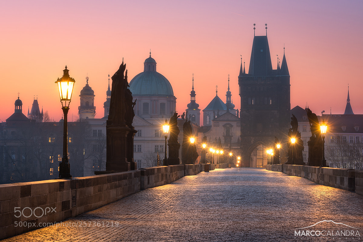 Nikon D750 sample photo. Charles bridge photography