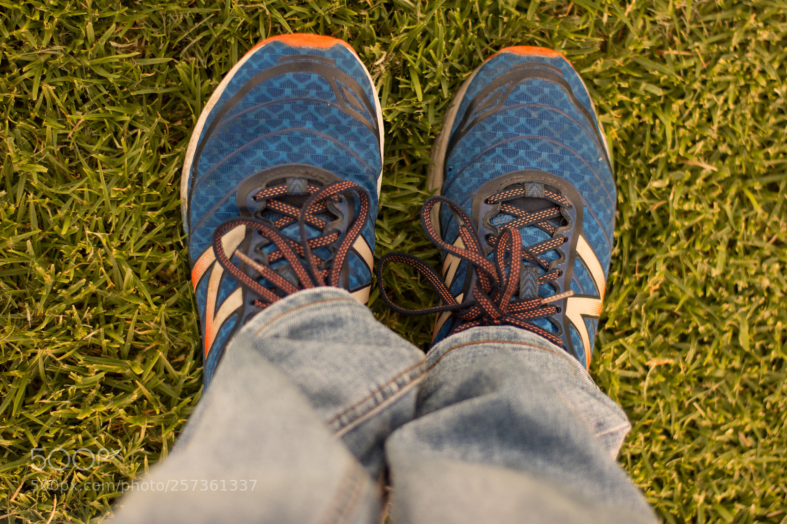 Nikon D7200 sample photo. Ready to go photography