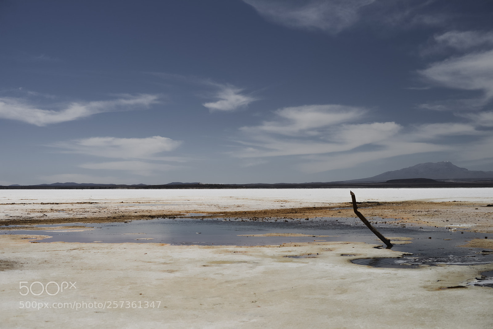 Nikon D600 sample photo. Salt flat pond photography