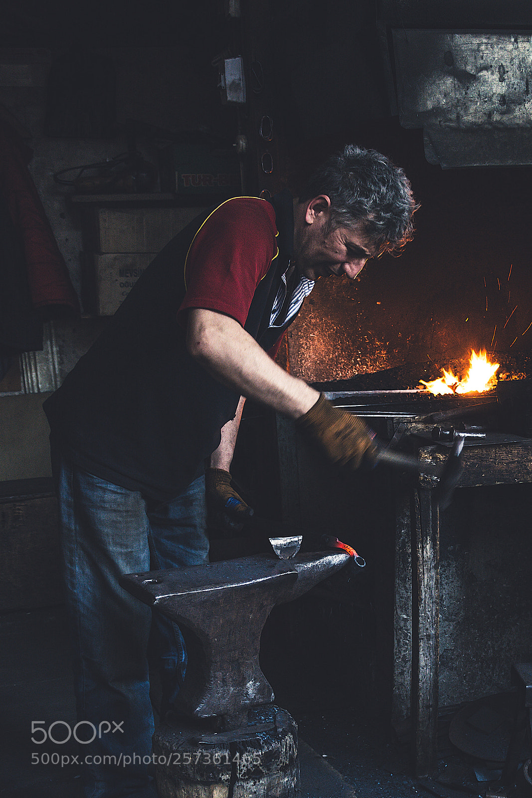 Nikon D7100 sample photo. Ironmaster photography