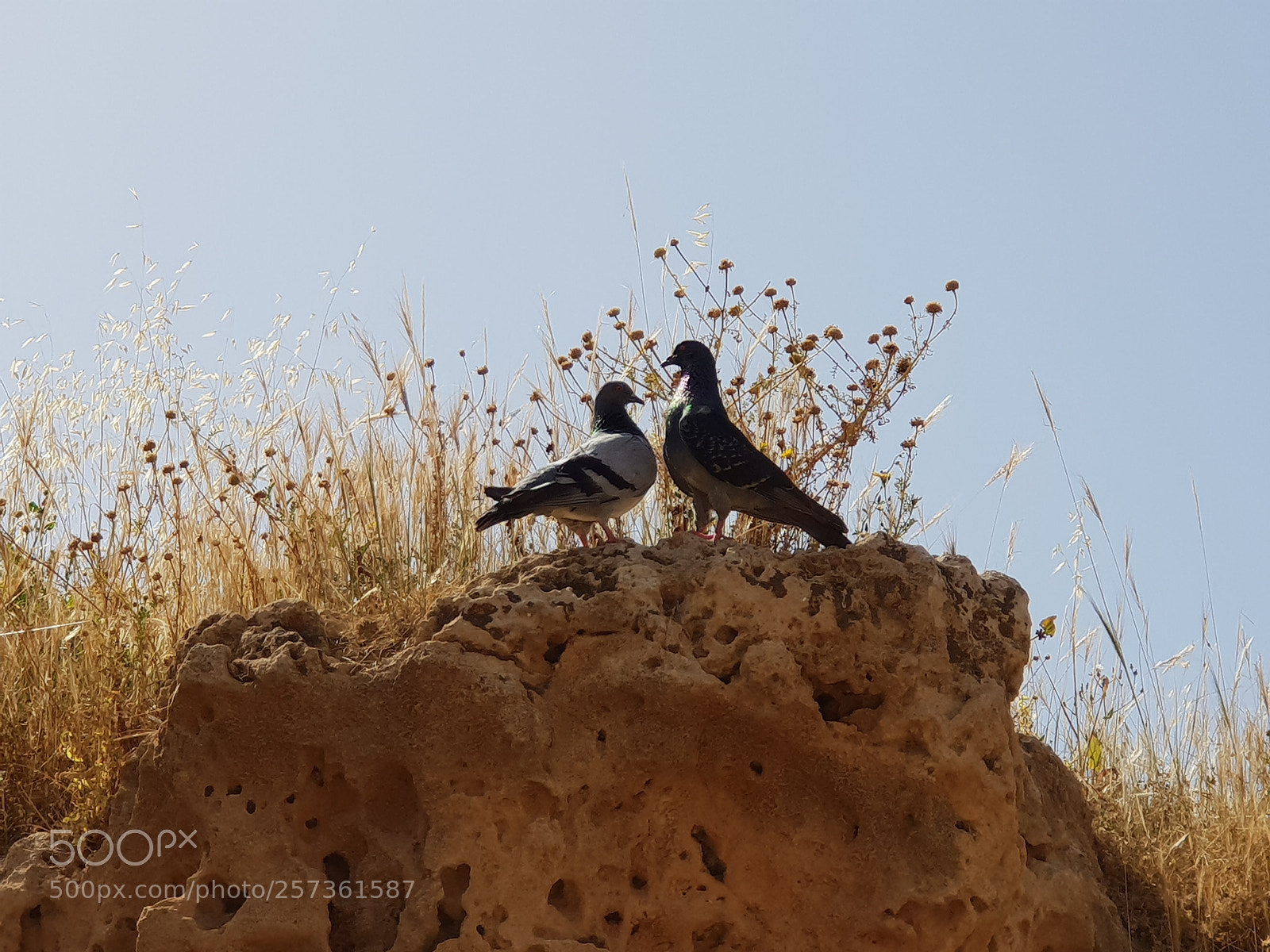 Samsung Galaxy S9+ sample photo. Cyprus photography
