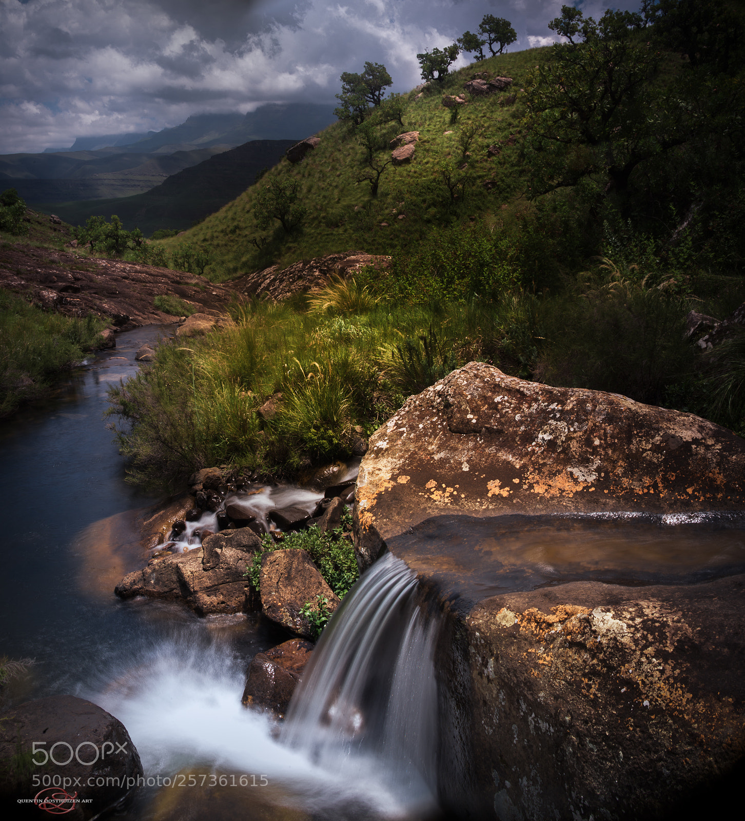 Nikon D610 sample photo. Downstream lotheni photography