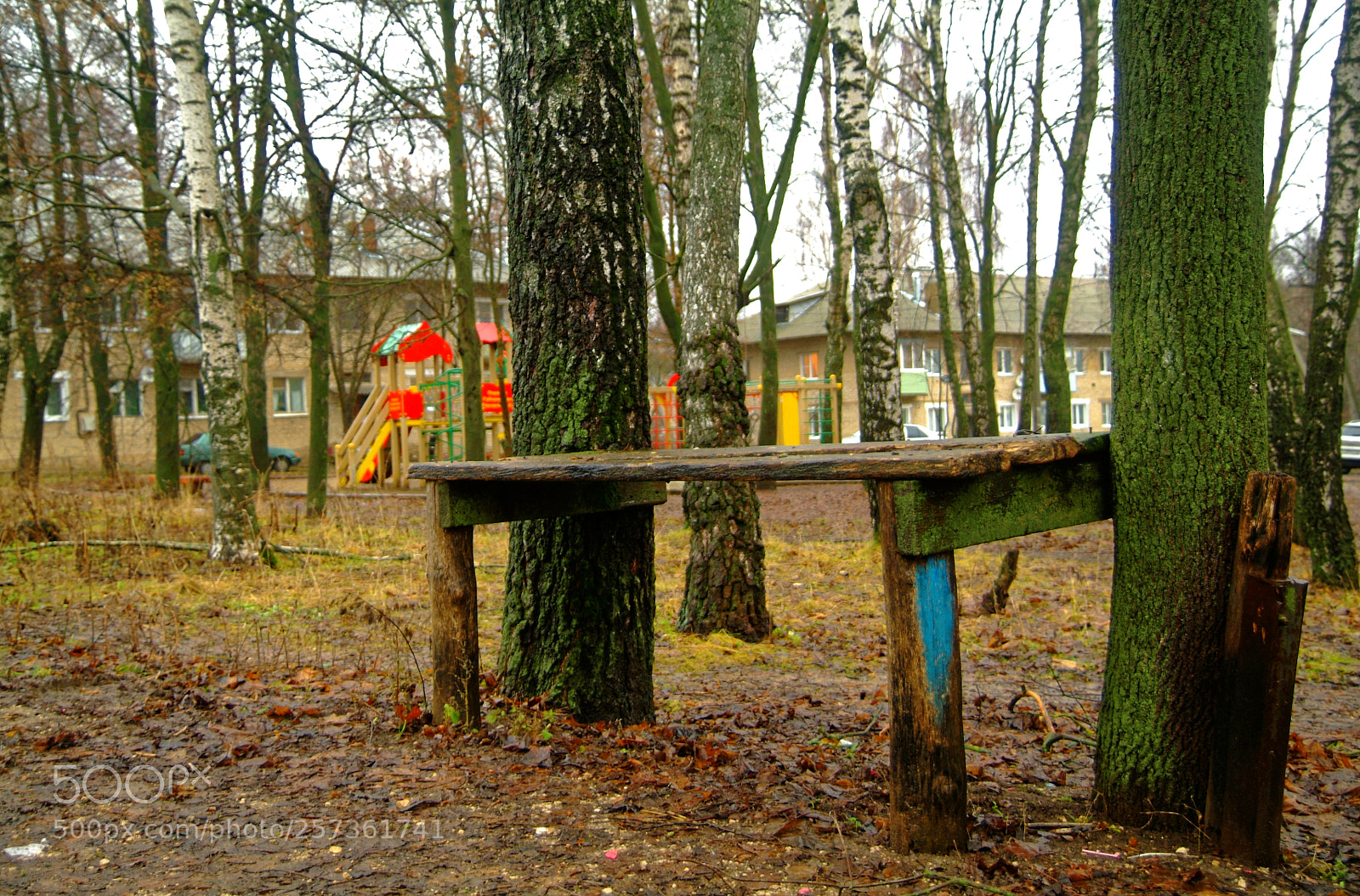 Fujifilm FinePix S3 Pro sample photo. The makeshift wooden table photography