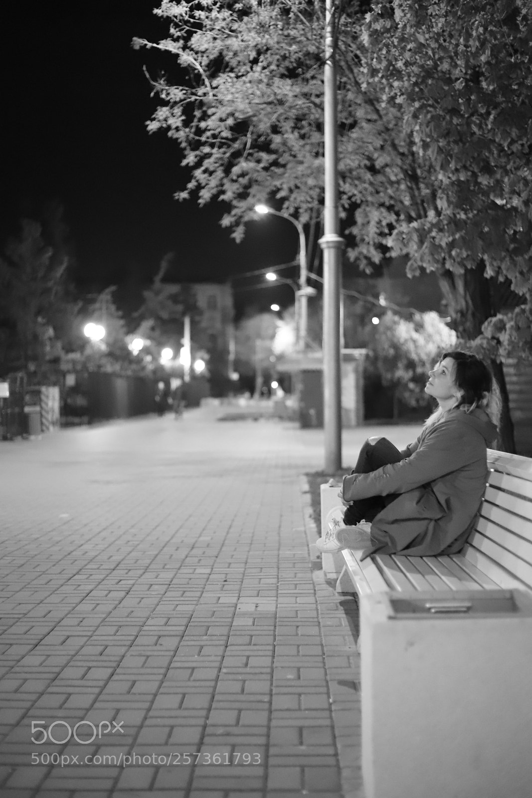 Canon EOS 6D Mark II sample photo. Img photography