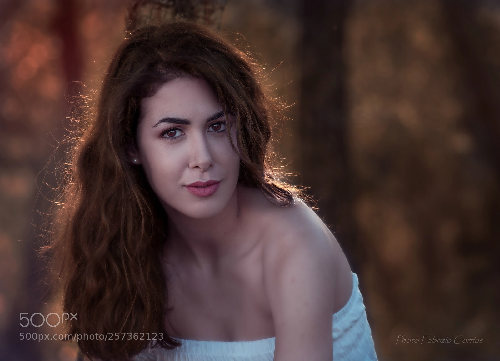 Nikon D5200 sample photo. Red forest photography