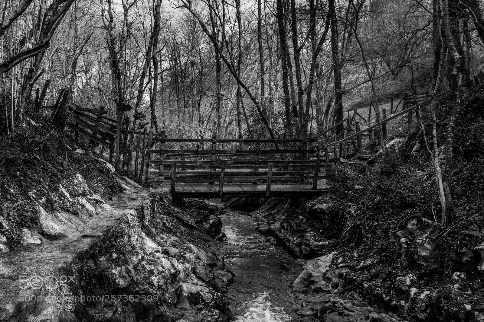 Nikon D5200 sample photo. Untitled photography