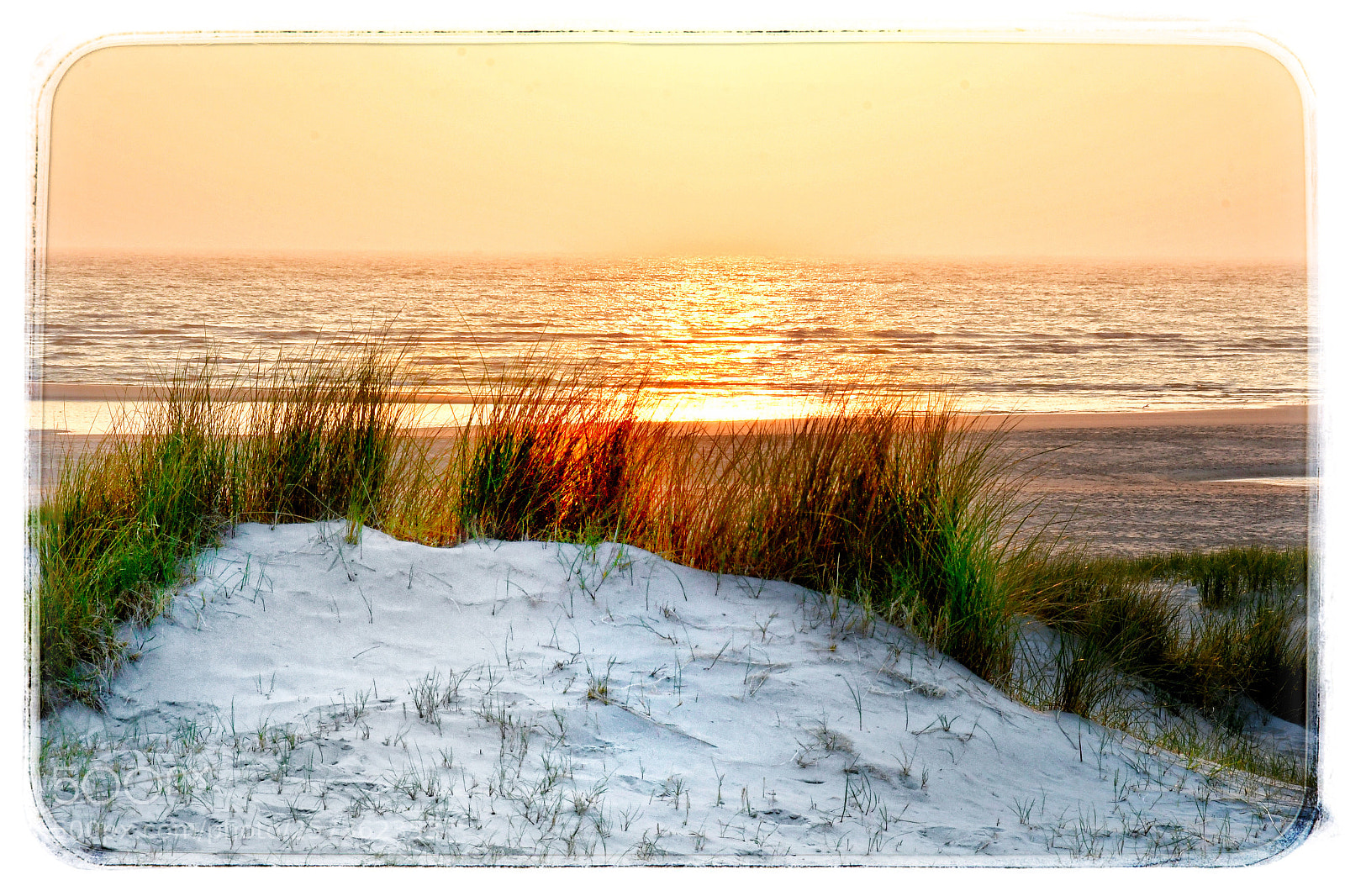 Nikon D500 sample photo. Baie de somme photography