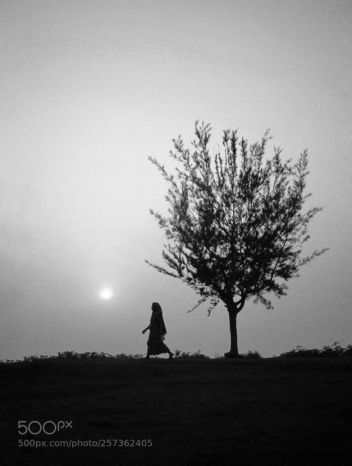 Canon PowerShot SX170 IS sample photo. The lost soul photography