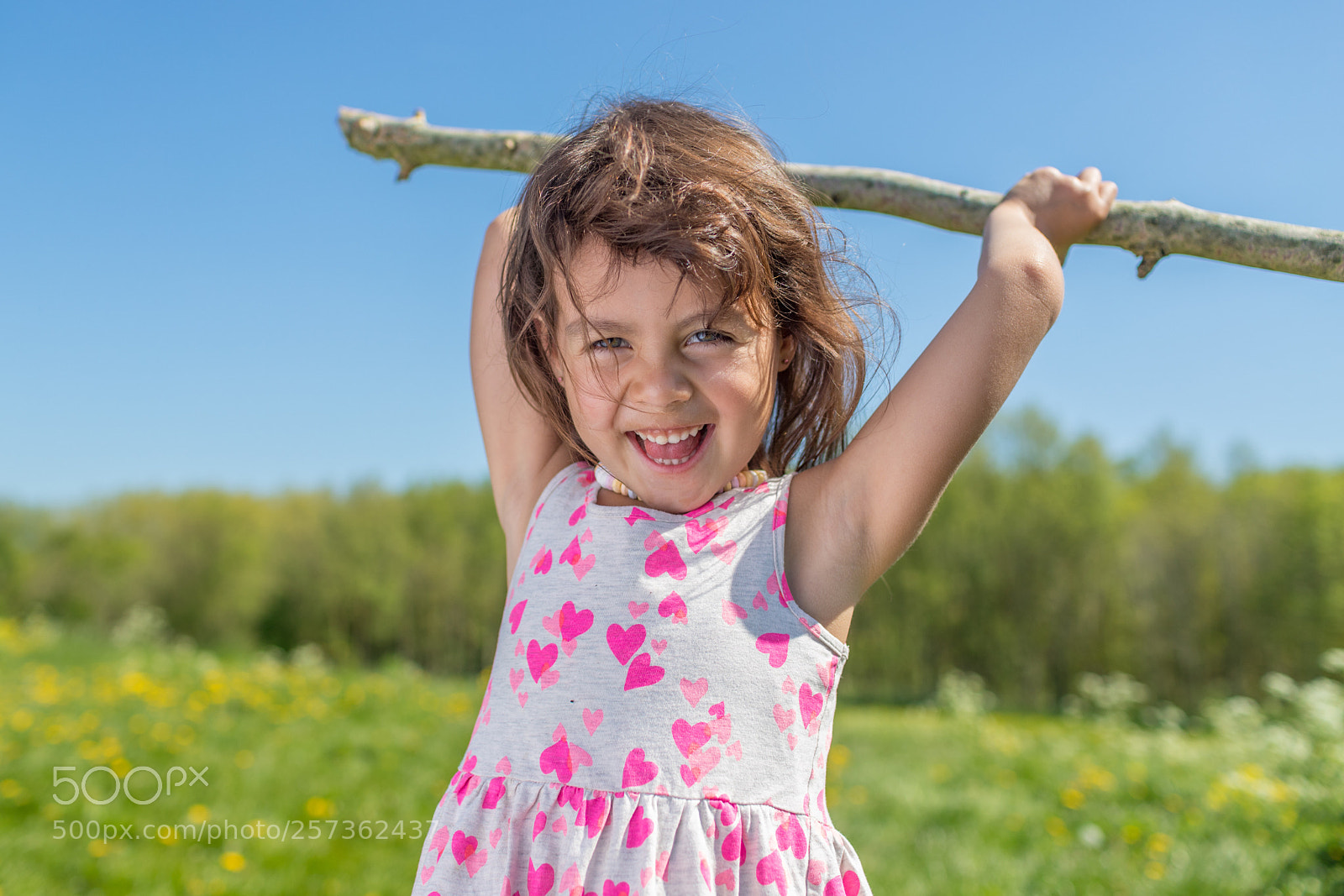 Canon EOS 6D Mark II sample photo. Untitled photography