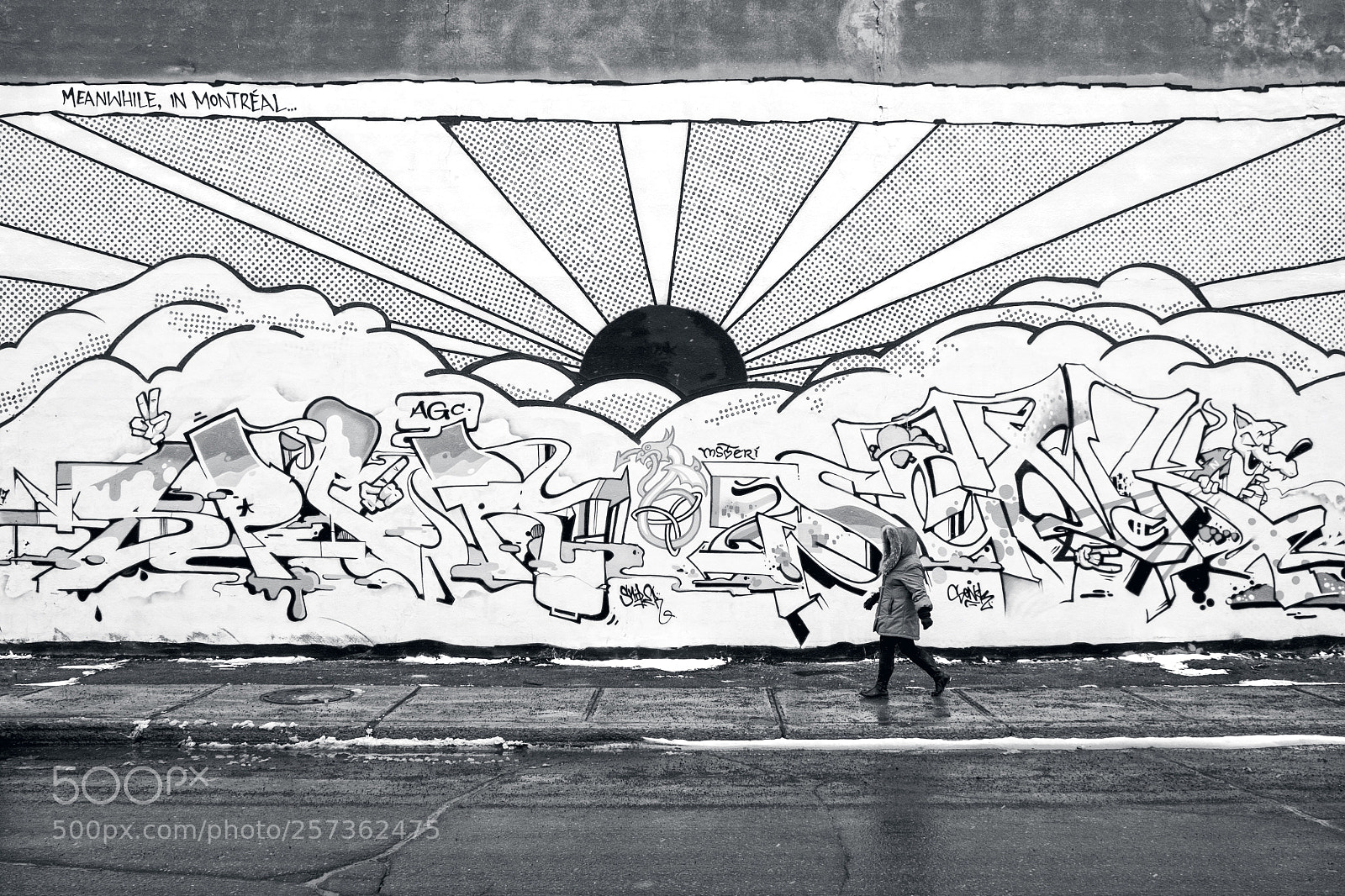 Fujifilm X-M1 sample photo. Meanwhile in montreal photography