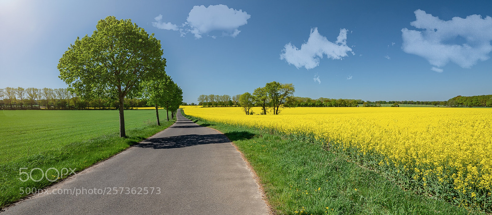 Sony a7R III sample photo. Untitled photography