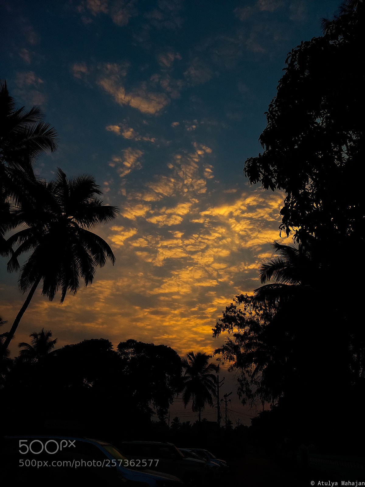 Motorola Moto G (5) Plus sample photo. Goa was lit. photography