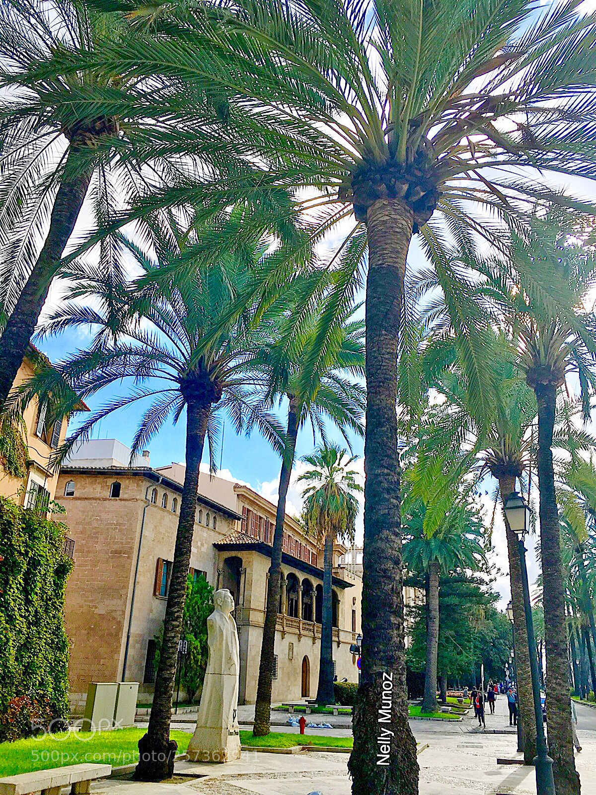 Apple iPhone 6s sample photo. Palmeral ? photography