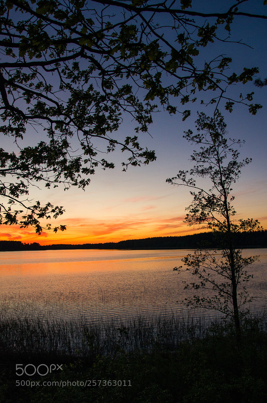 Pentax K-5 sample photo. Beautiful sunset over calm photography