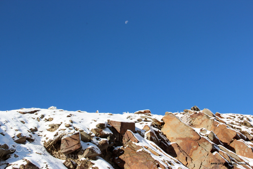 Canon EOS 600D (Rebel EOS T3i / EOS Kiss X5) sample photo. Yosh () photography