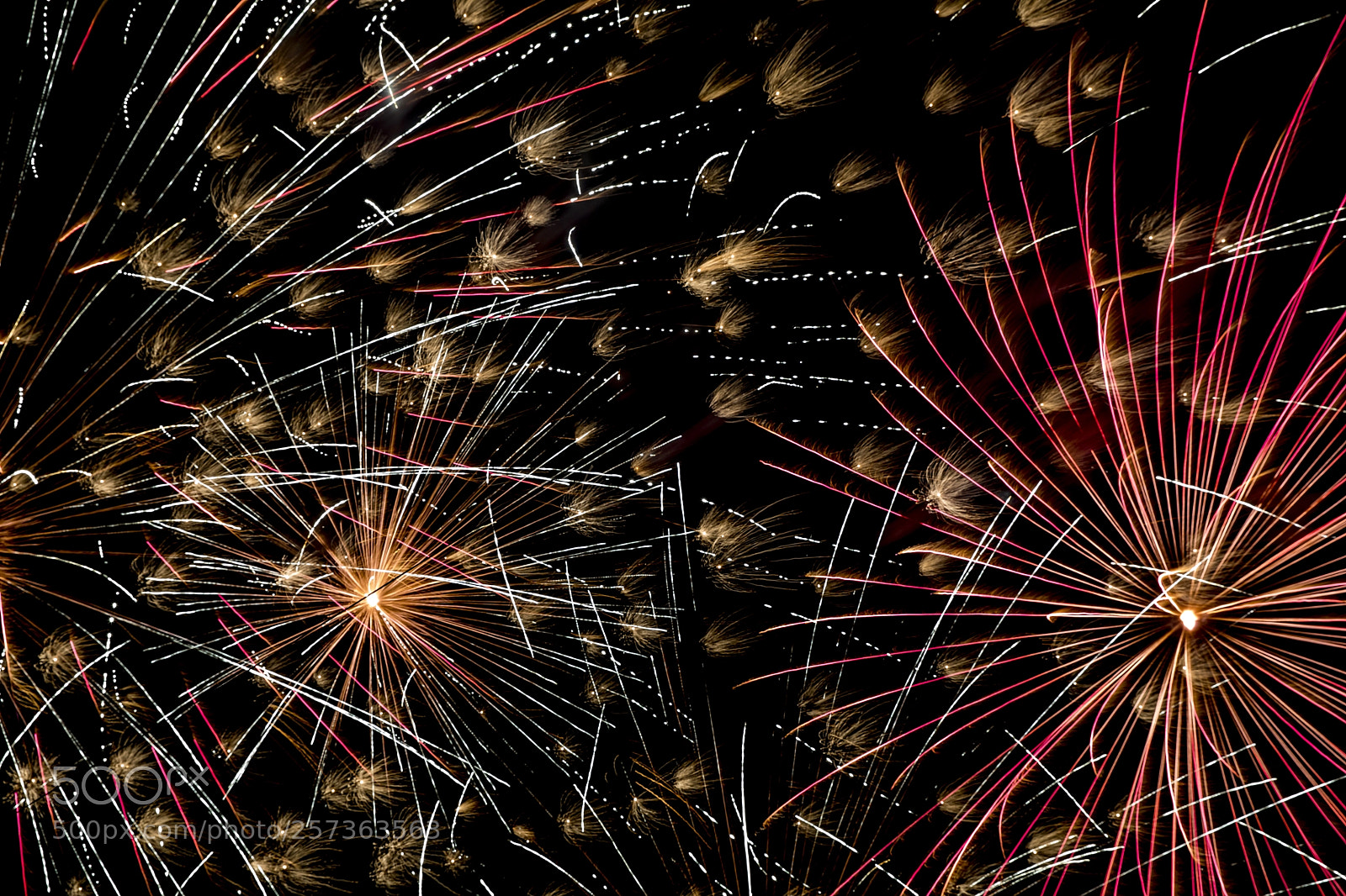 Canon EOS 5D Mark IV sample photo. Fireworks photography
