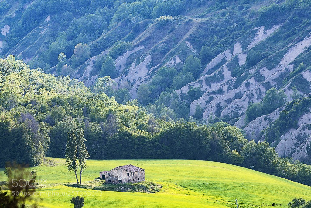 Nikon D500 sample photo. Casolare nel fermano  photography