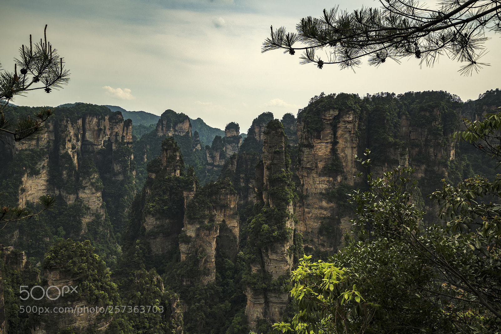 Sony a7R II sample photo. Zhangjiajie stone mountain. photography