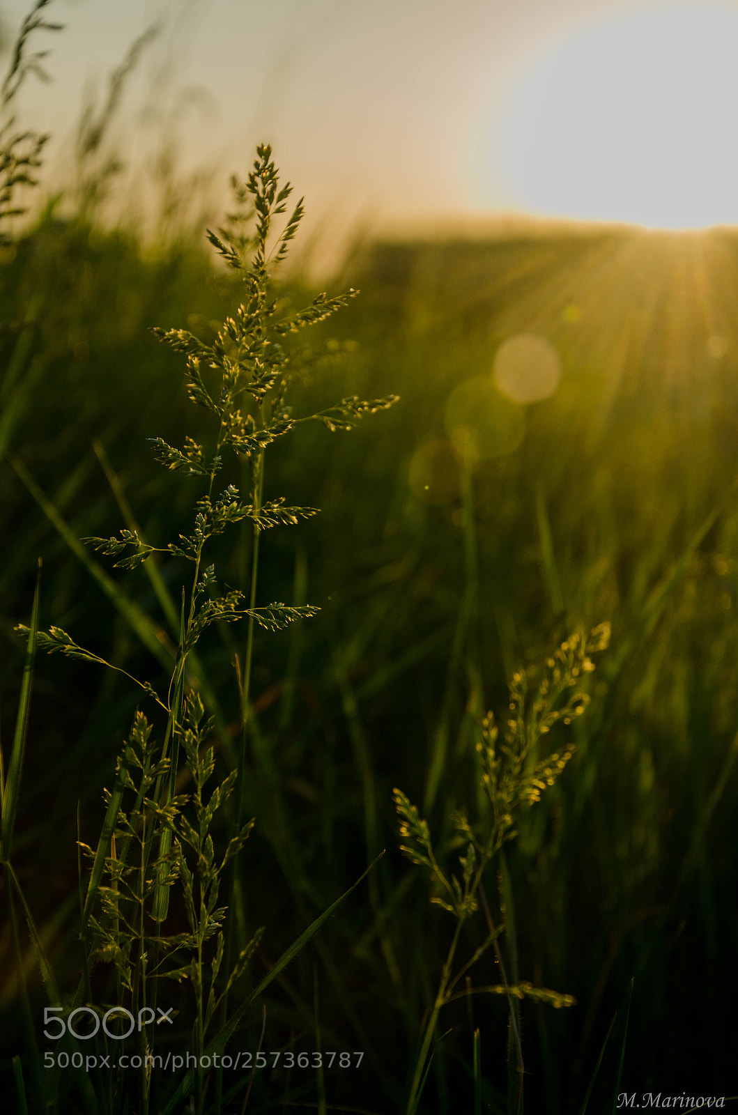 Nikon D7000 sample photo. Sunset photography