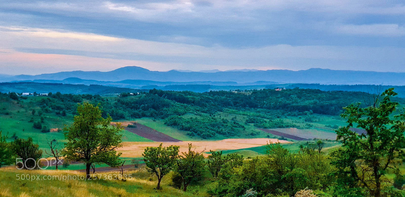 Samsung Galaxy S9+ sample photo. Untitled photography