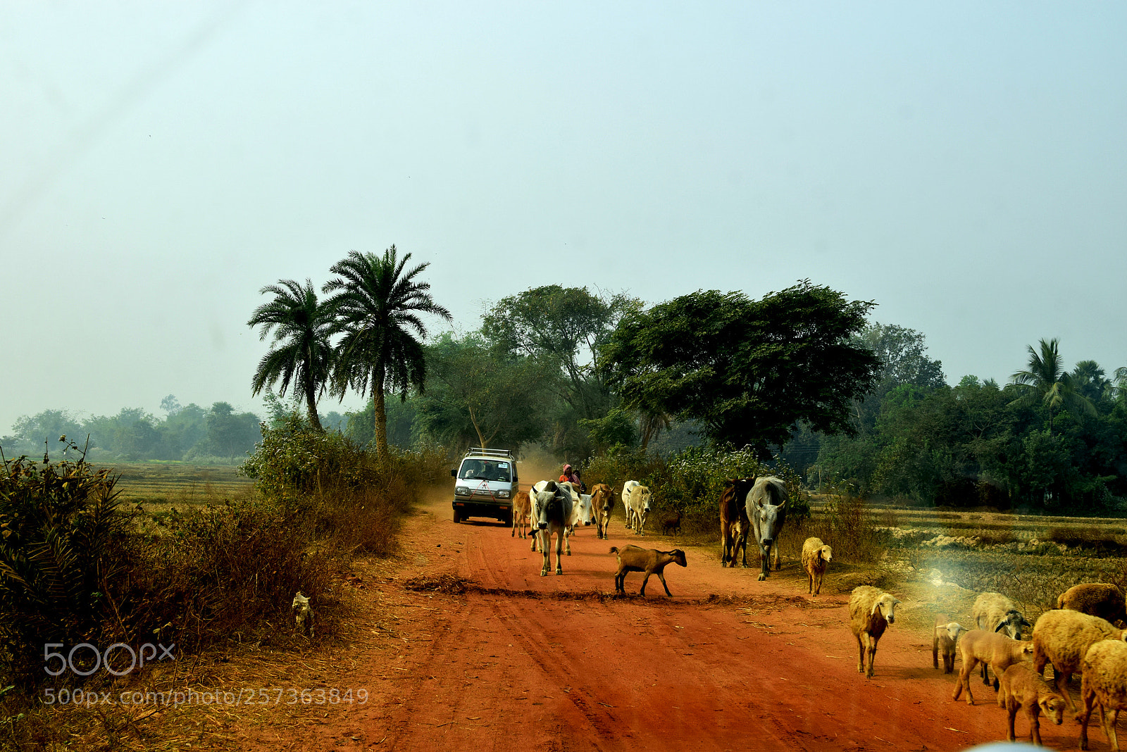 Nikon D3300 sample photo. Heavy traffic photography