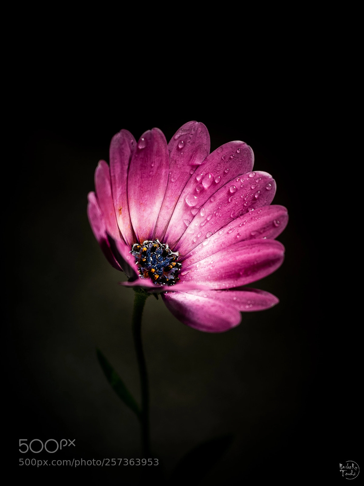 Olympus OM-D E-M5 II sample photo. Aquí y ahora... photography