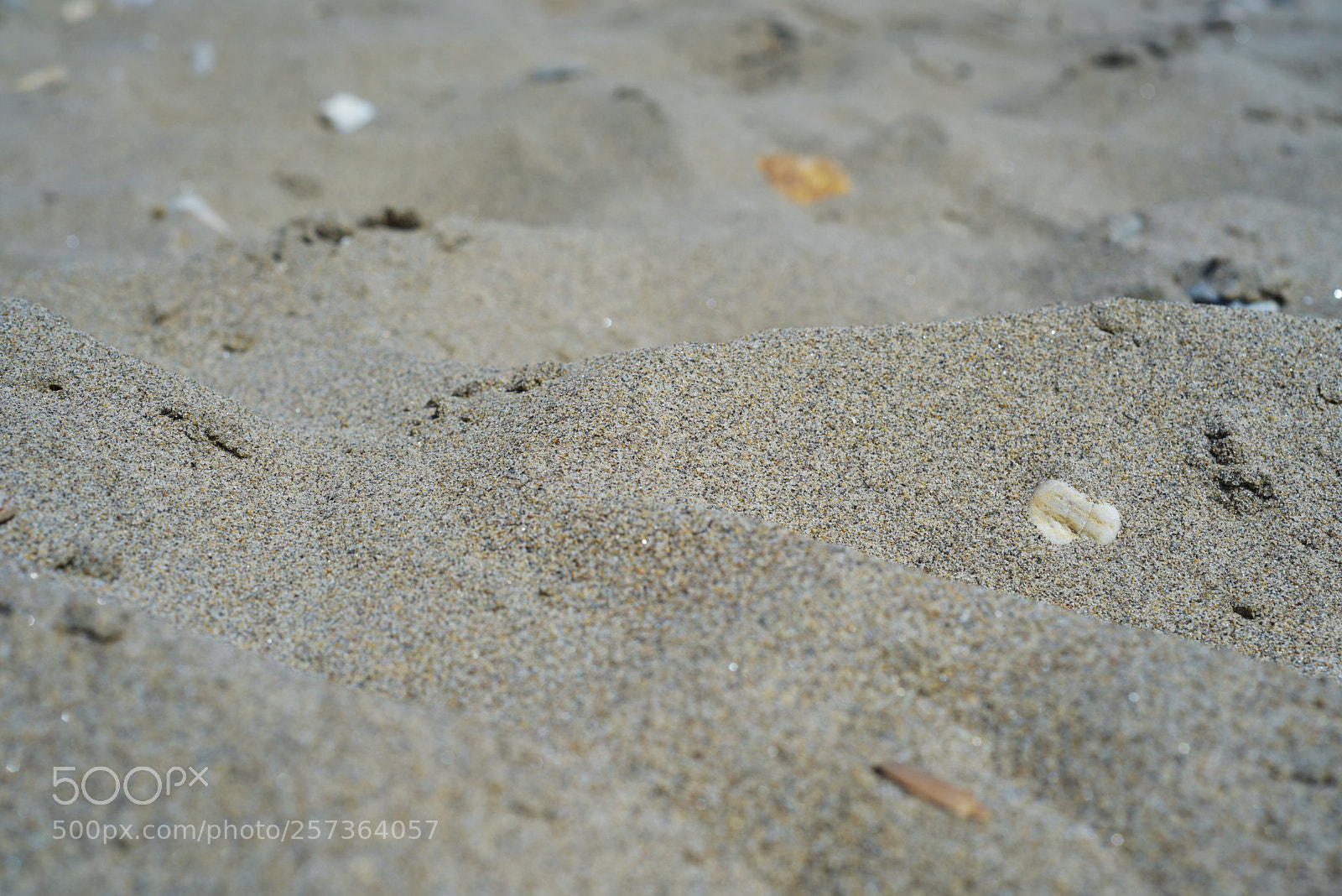 Nikon D750 sample photo. Kum tepeciği photography