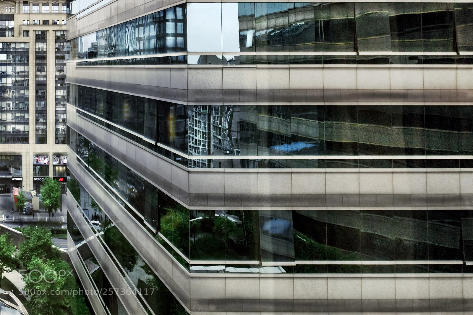 Nikon D800 sample photo. Waiting for your call photography