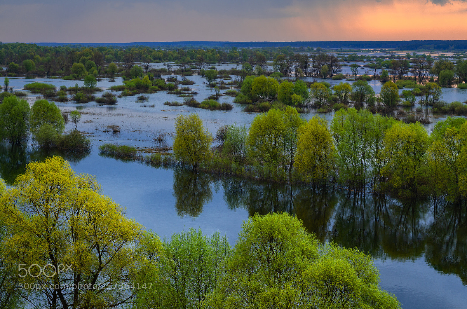 Nikon D7000 sample photo. High water photography