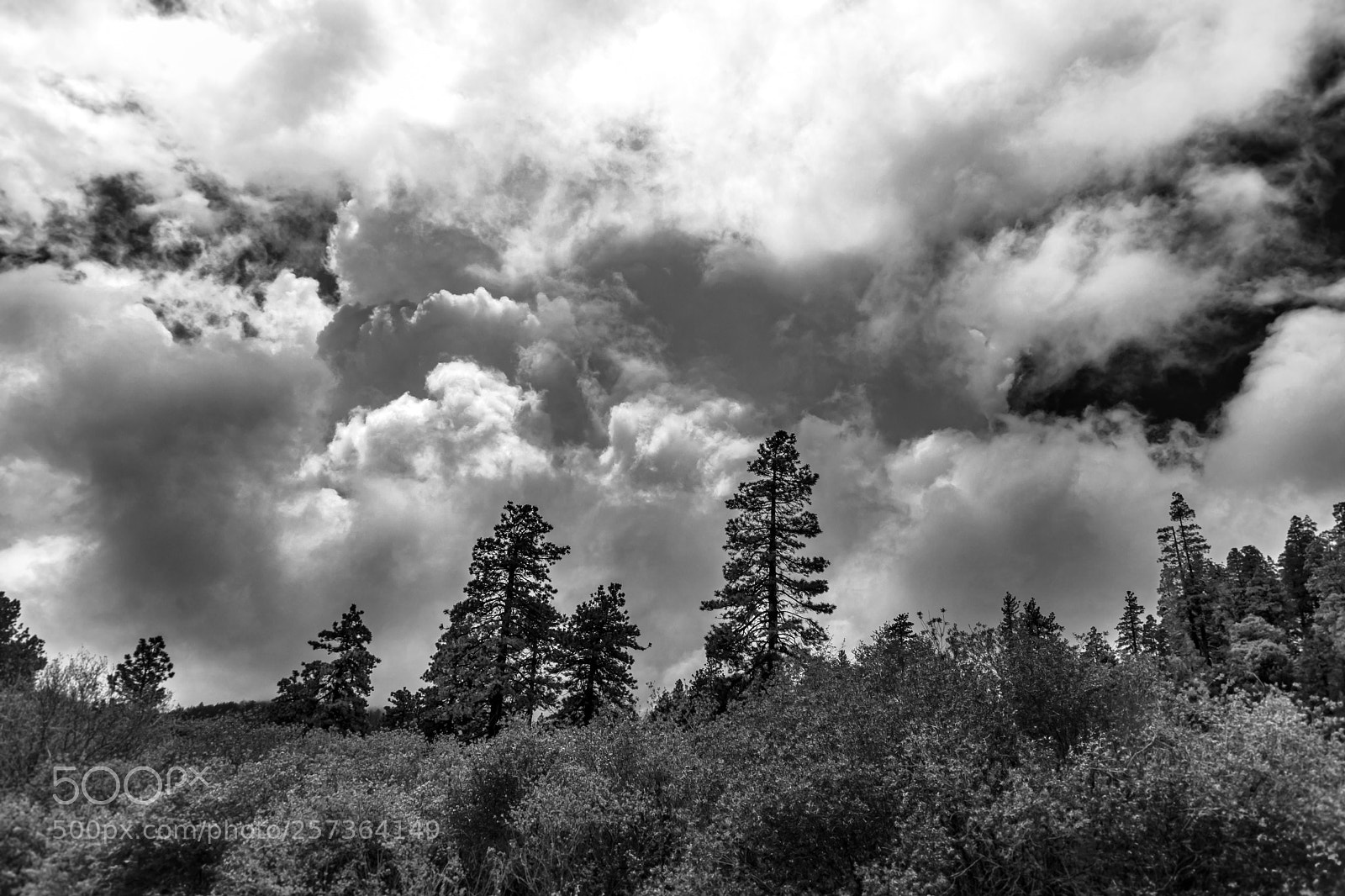 Canon EOS 5D Mark IV sample photo. Storm clouds 8917 photography