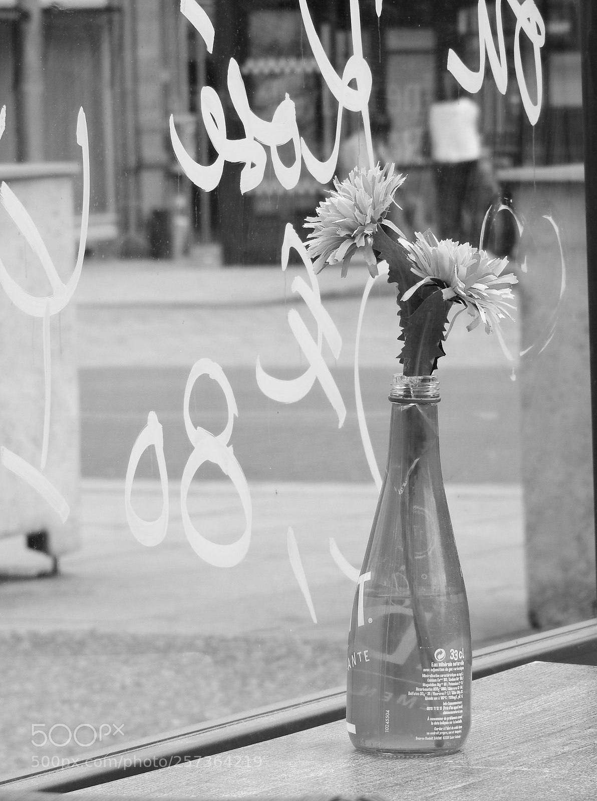 Nikon Coolpix P610 sample photo. Untitled photography