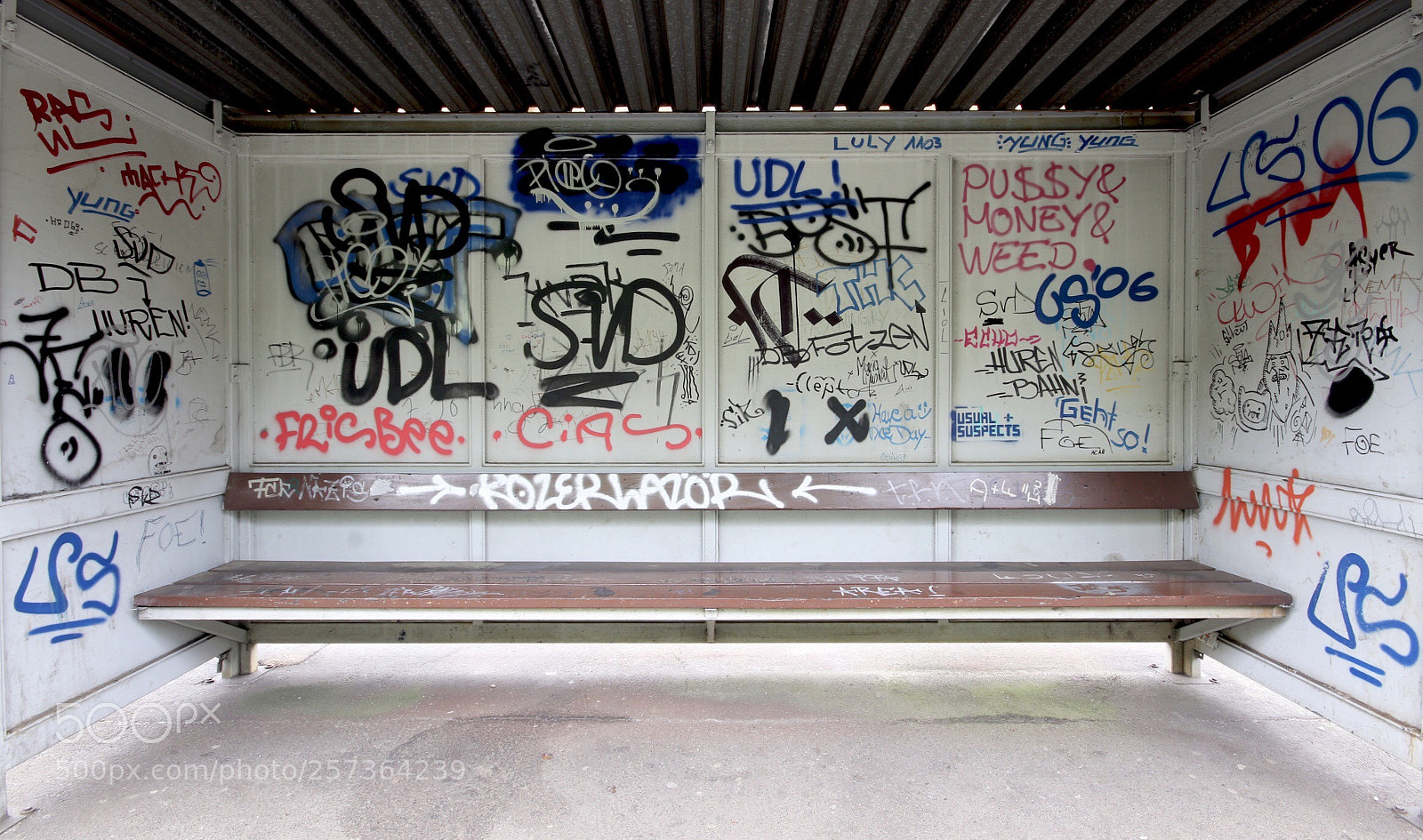 Canon EOS 77D (EOS 9000D / EOS 770D) sample photo. Untitled photography