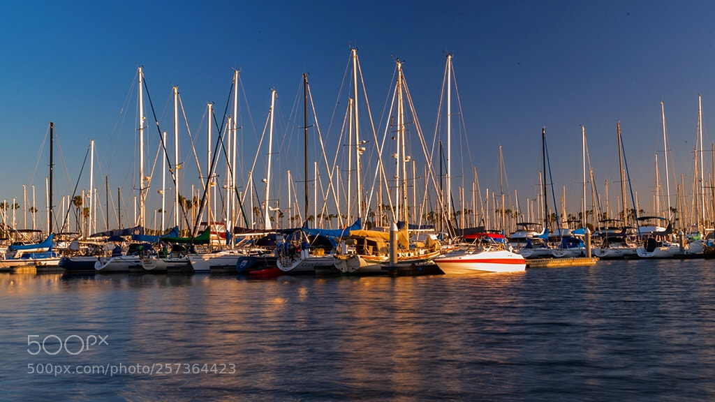 Nikon D810 sample photo. Long beach .ca photography