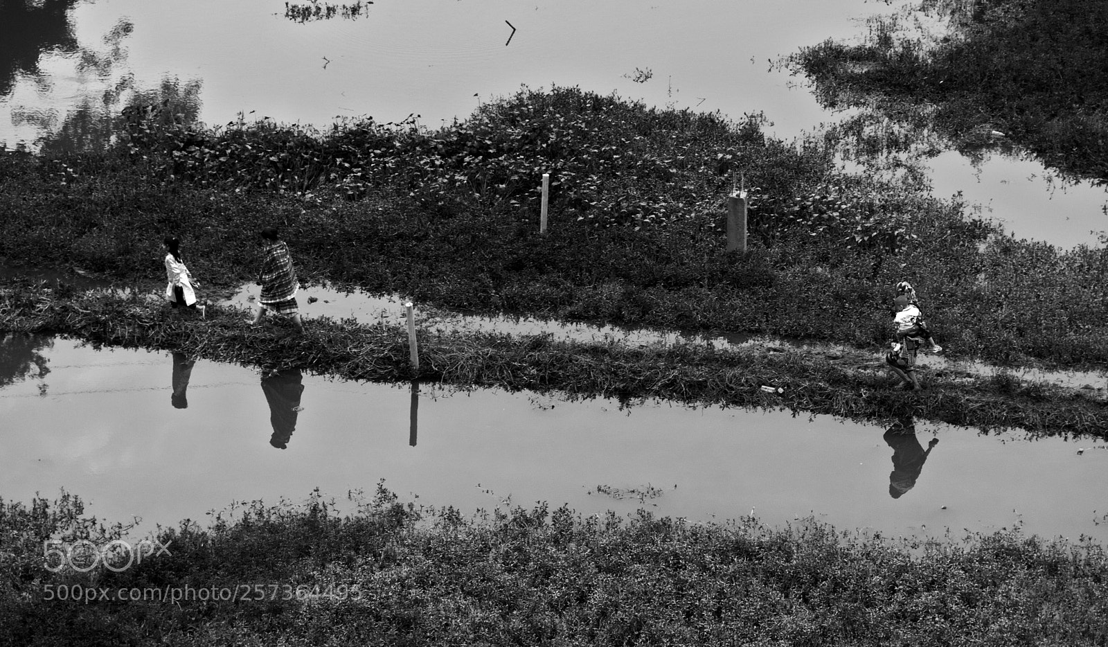 Nikon D750 sample photo. Bw photography