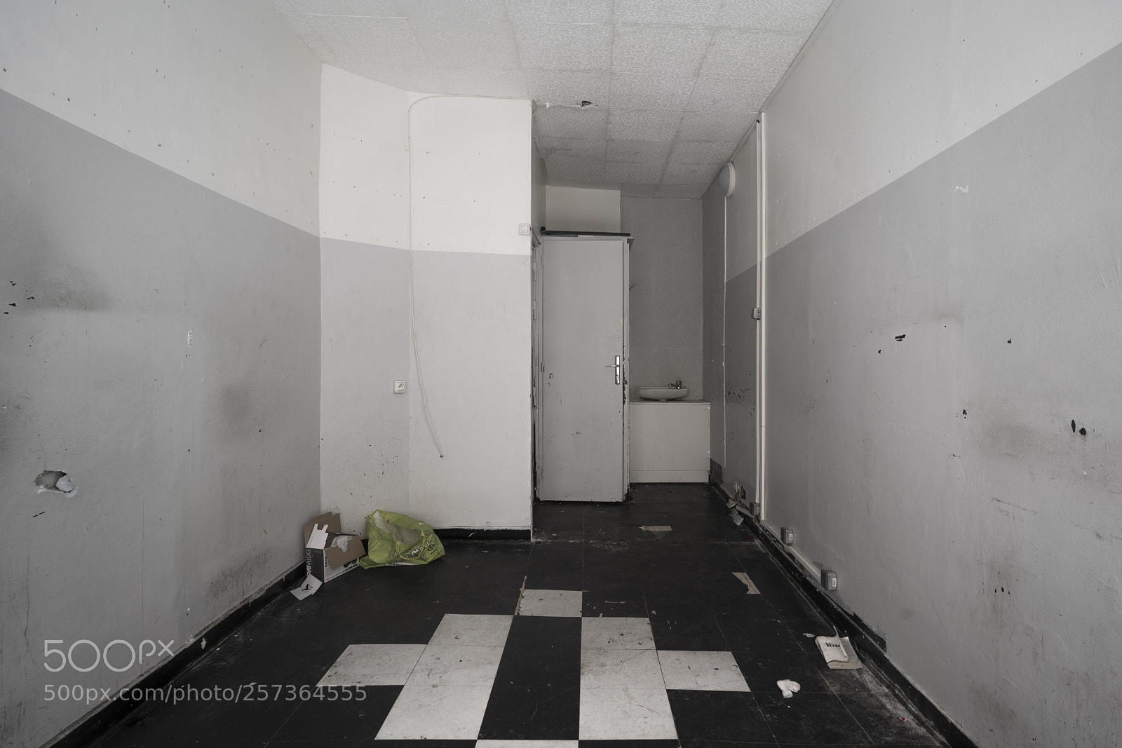 Sony a7R III sample photo. Gray photography