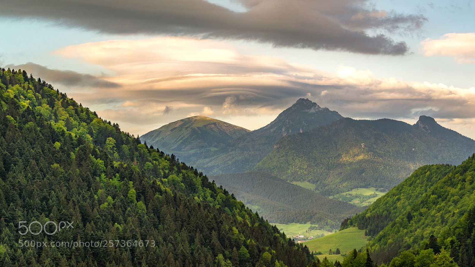 Nikon D610 sample photo. Rozsutec photography